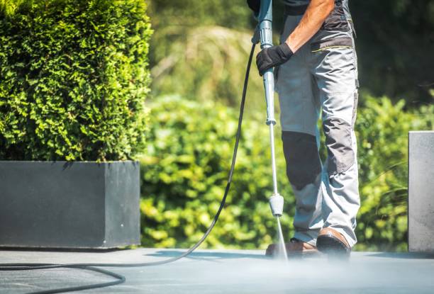 Best Driveway Pressure Washing  in , IL