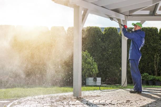 Best Building Exterior Washing  in , IL
