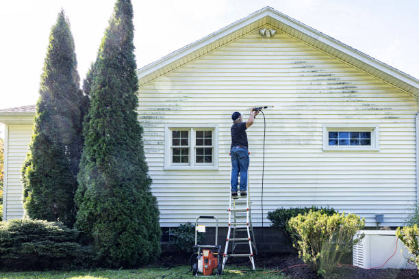 Best House Exterior Washing  in , IL